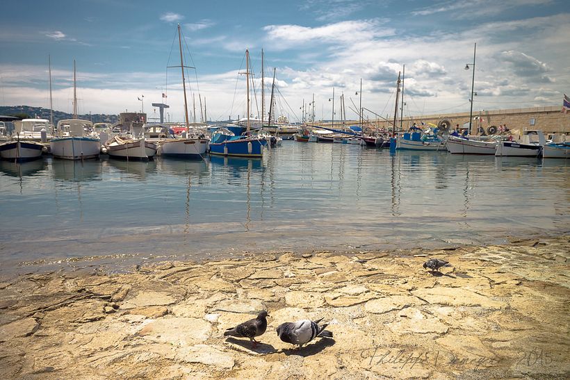 Evolution Photographique 20