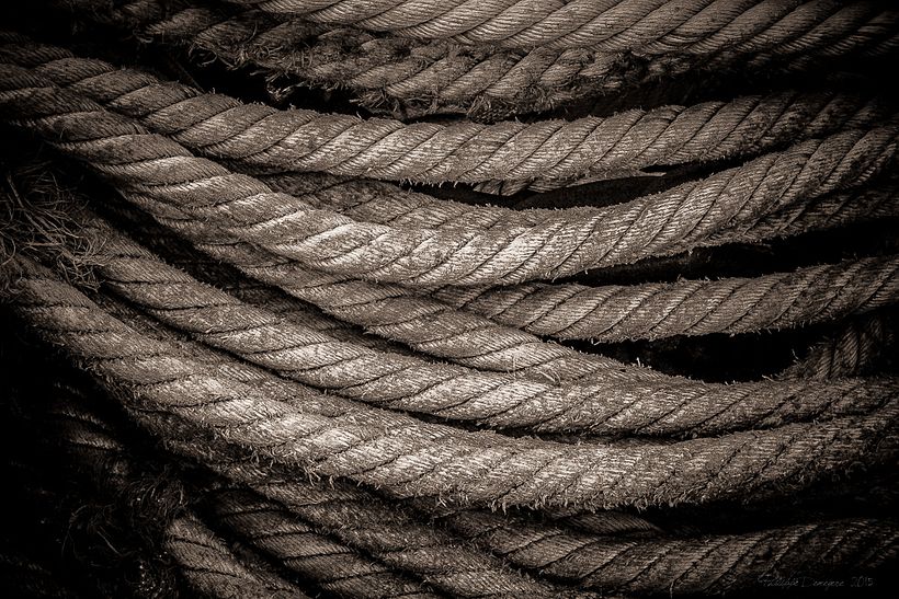 Evolution Photographique 21