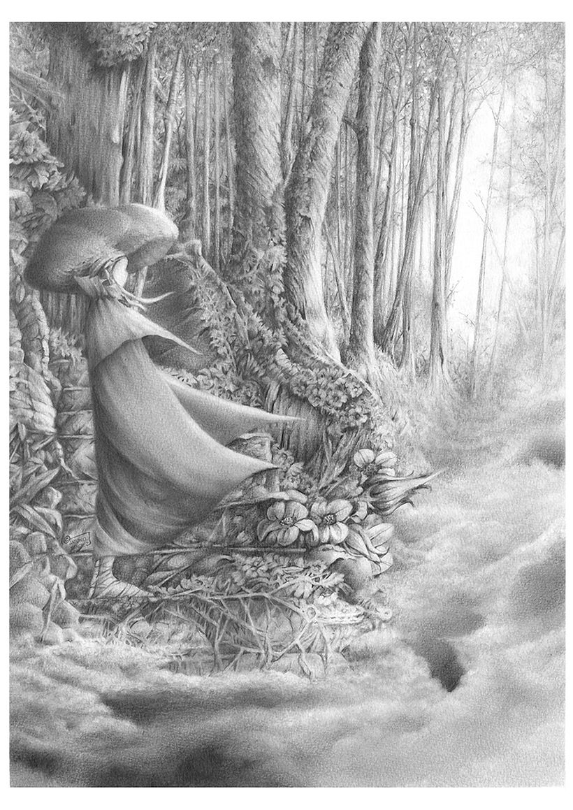 El bosque escondido 4