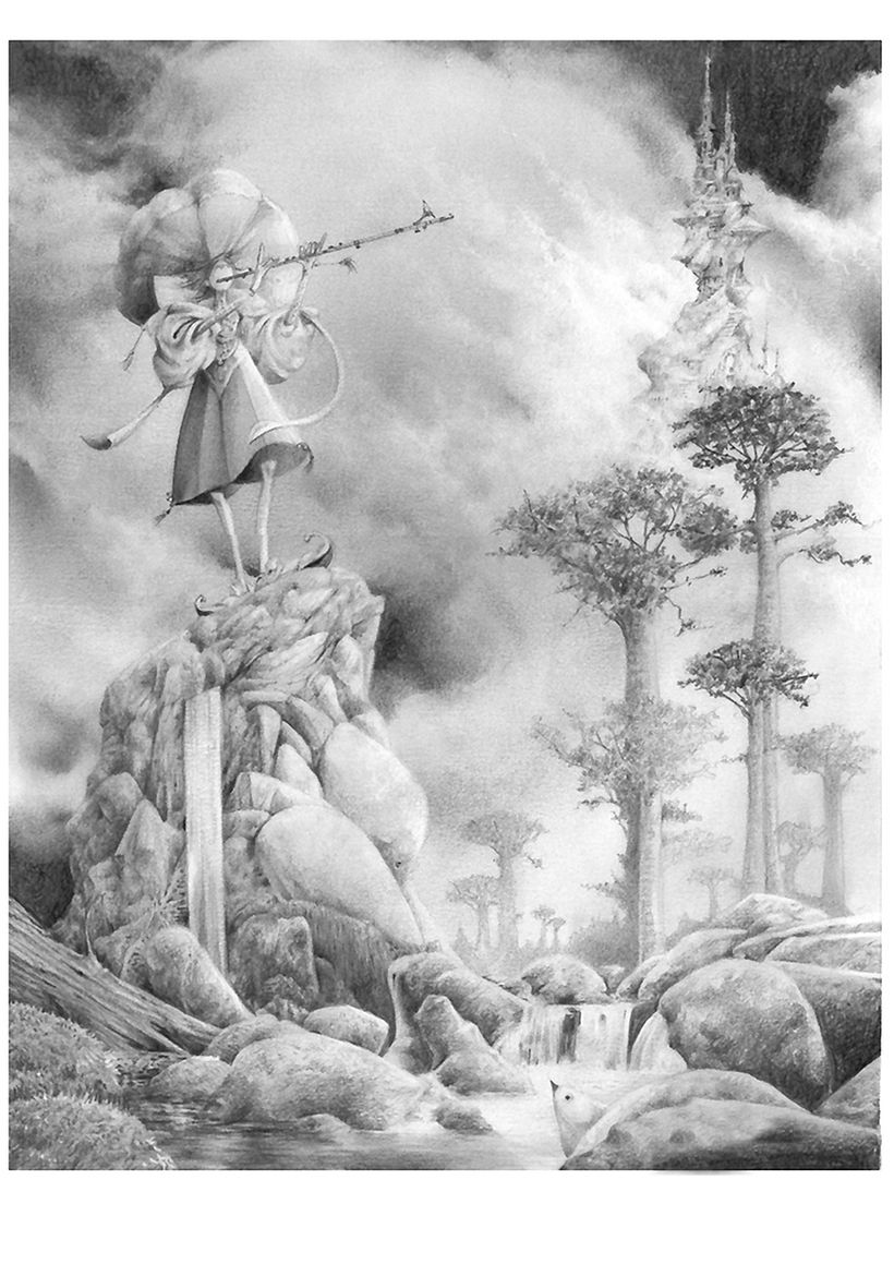 El bosque escondido 14