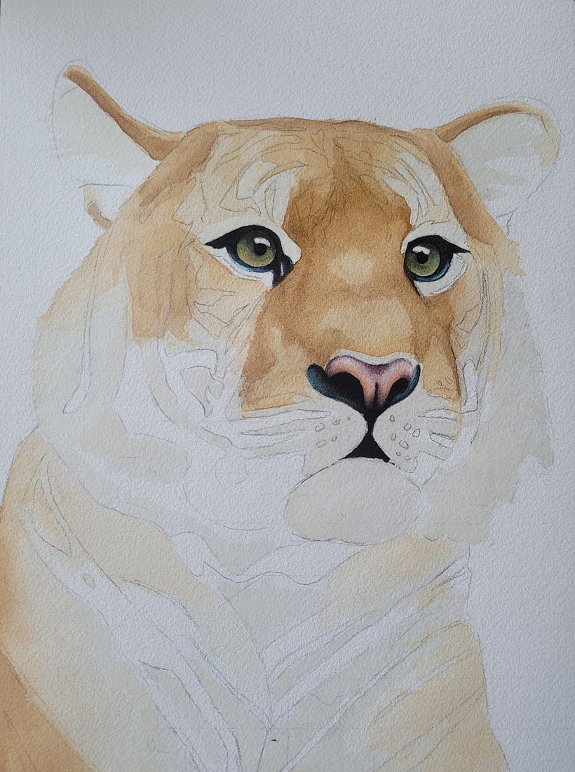 My project for course: Expressive Animal Portraits in Watercolor 7