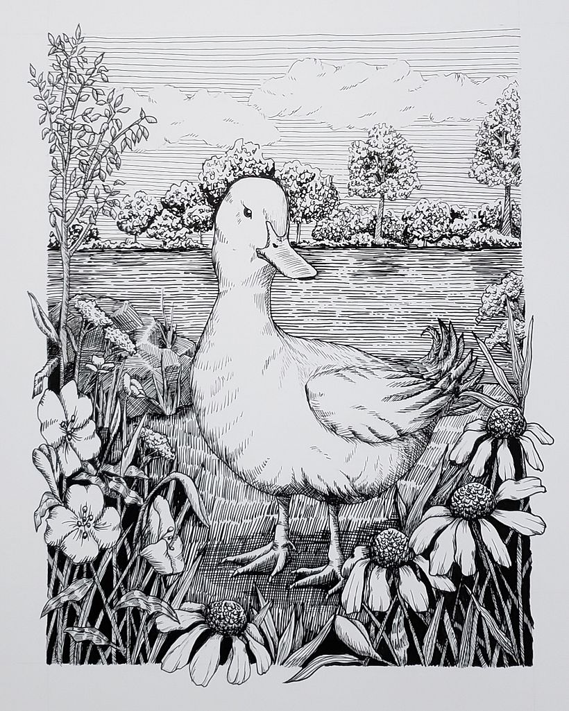 My project for course: Dip Pen and Ink Illustration: Capturing The Natural World 2