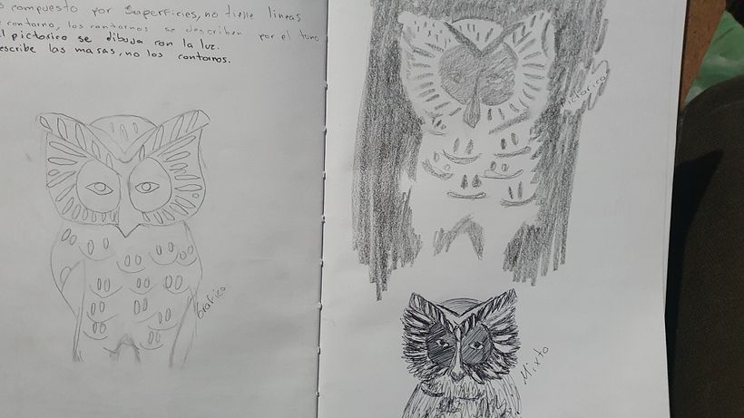 Mi proyecto del curso: Dibujo realista: aprende a observar lo que te rodea 7