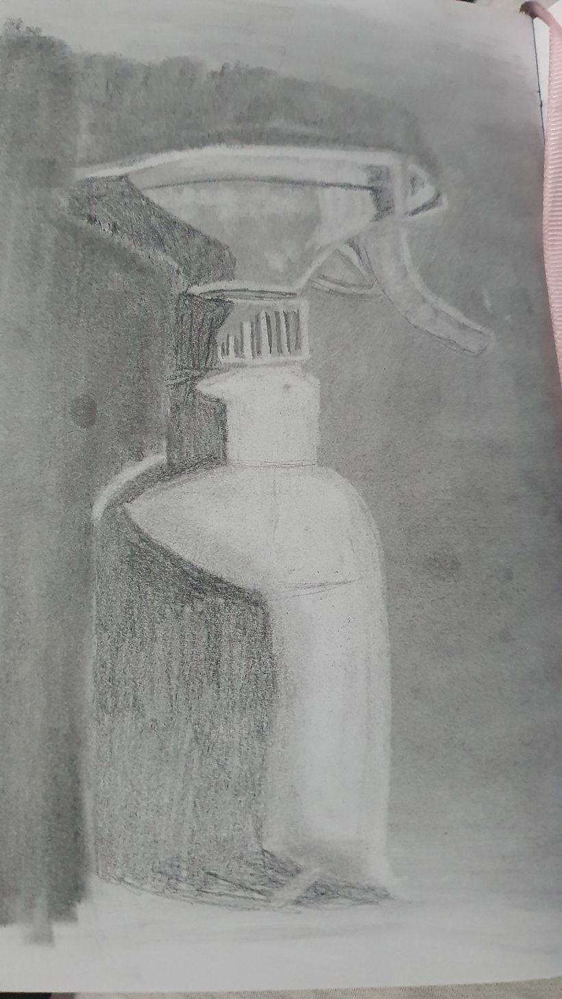 Mi proyecto del curso: Dibujo realista: aprende a observar lo que te rodea 11