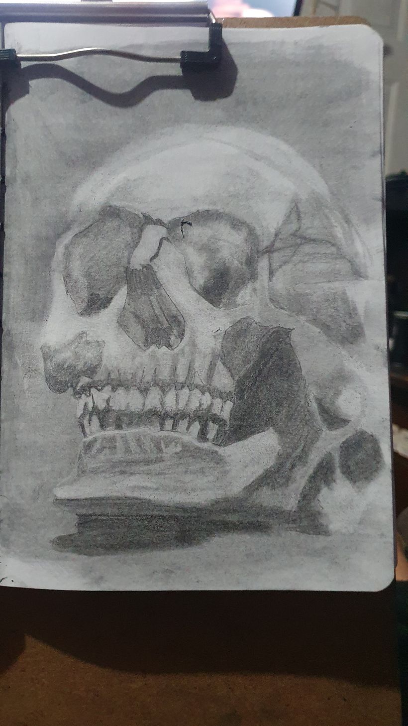 Mi proyecto del curso: Dibujo realista: aprende a observar lo que te rodea 13