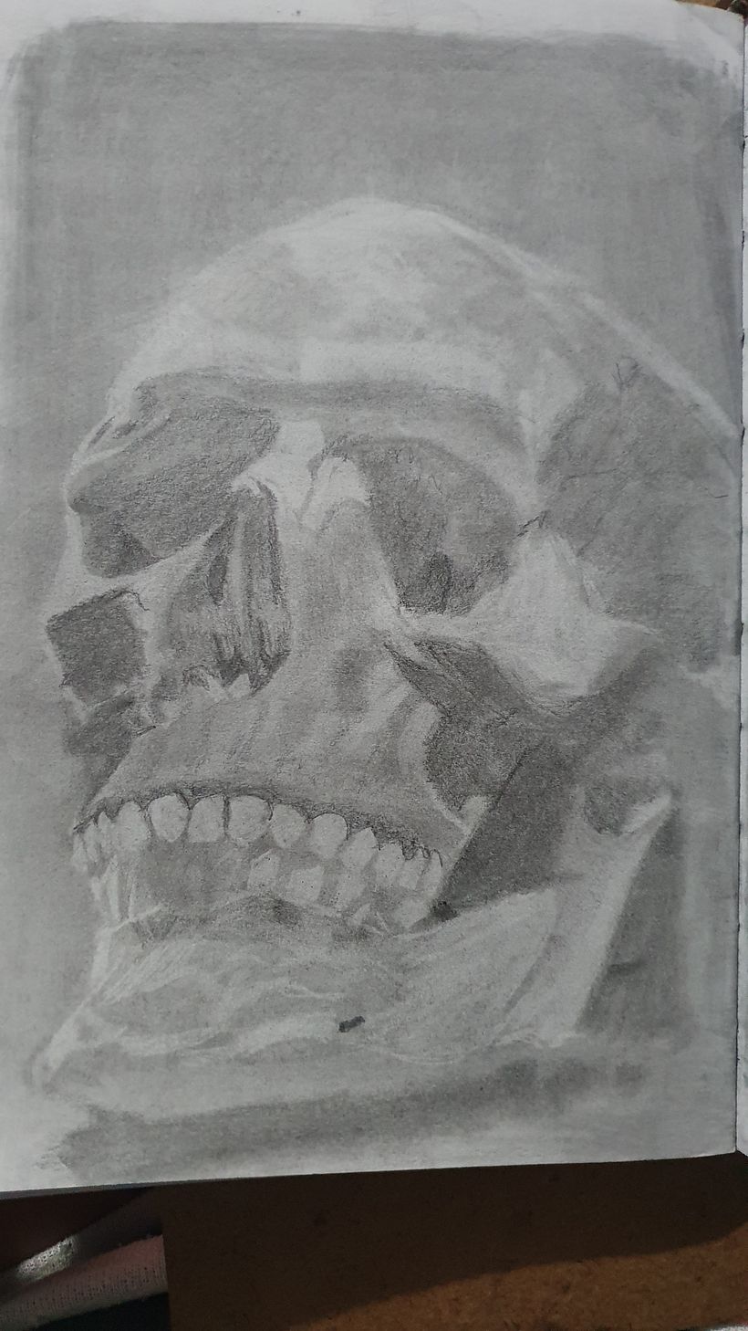 Mi proyecto del curso: Dibujo realista: aprende a observar lo que te rodea 14