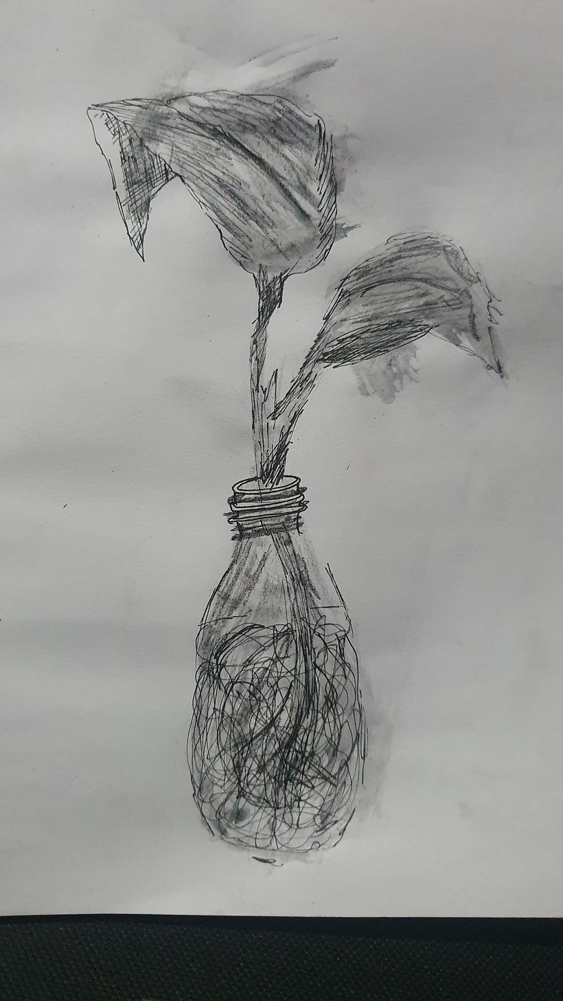Mi proyecto del curso: Dibujo realista: aprende a observar lo que te rodea 16