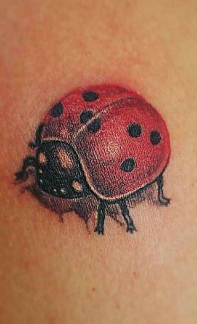 Algunos de mis trabajos. 7