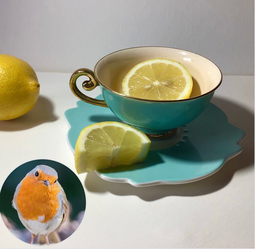 Left out some lemons and added a little robin. Couldn’t resist!