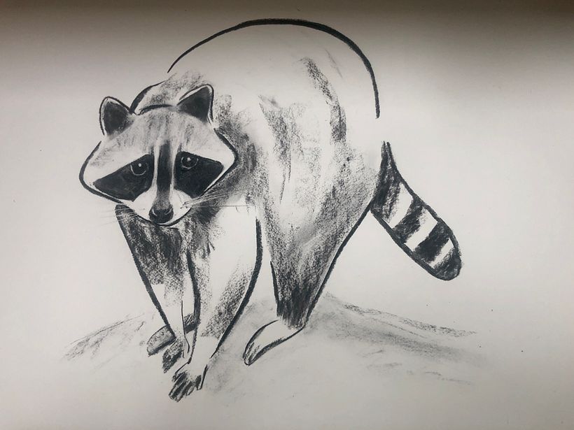 Mon projet du cours : Illustration d'animaux au fusain et à l'encre 2