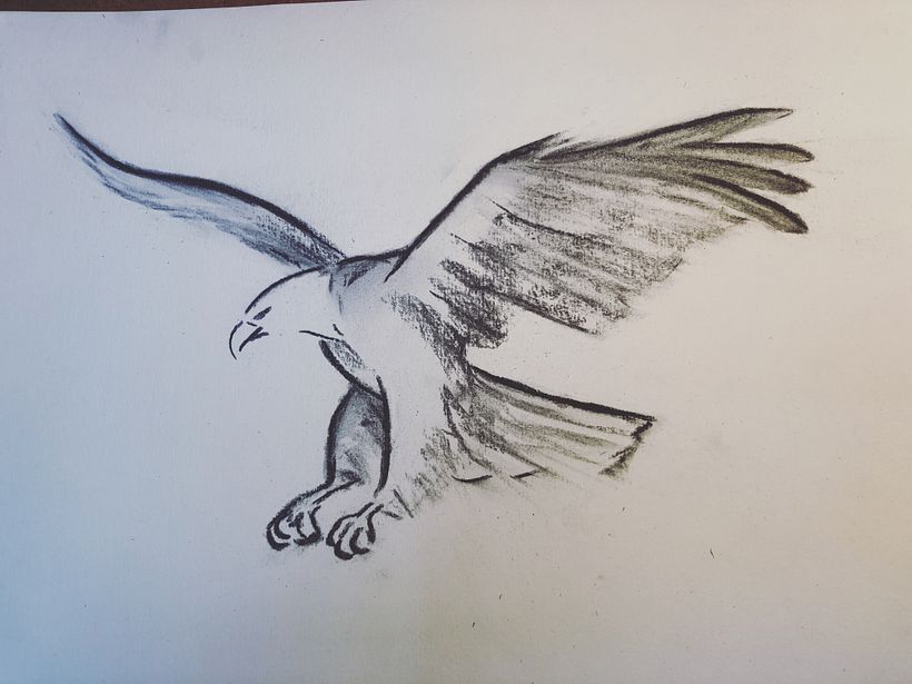 Mon projet du cours : Illustration d'animaux au fusain et à l'encre 3