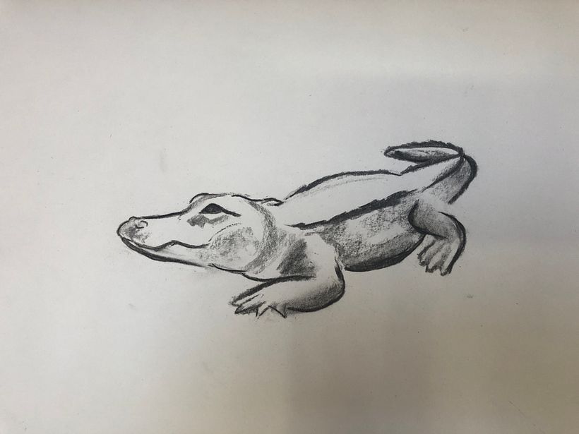 Mon projet du cours : Illustration d'animaux au fusain et à l'encre 4