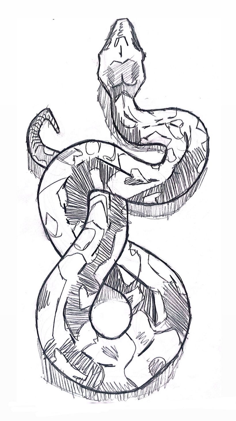 PP-Ilustraciones de animales 1