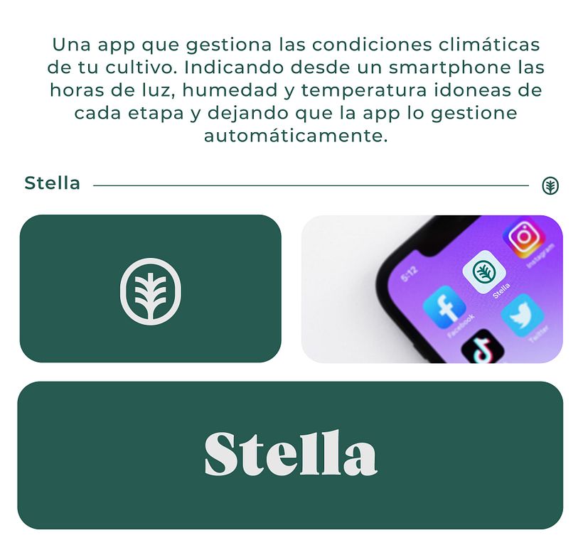 Stella 2