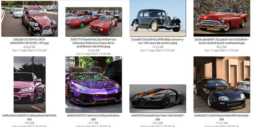 Clasificador de Coches/Camionetas 4