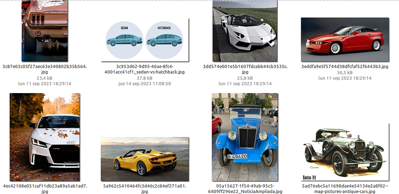 Clasificador de Coches/Camionetas 5