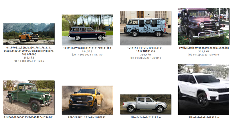 Clasificador de Coches/Camionetas 6