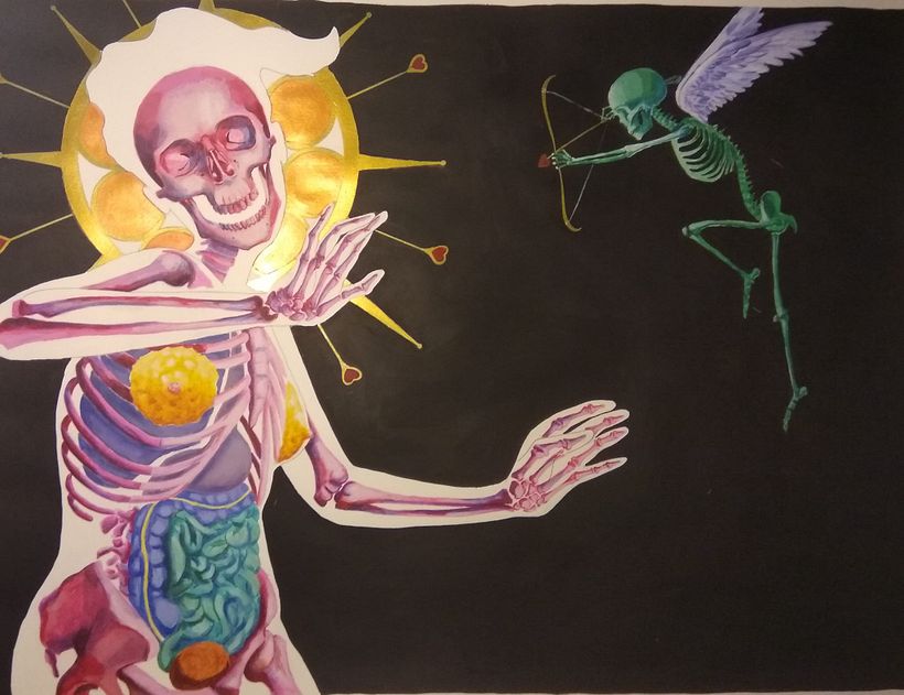 PORTFOLIO 7