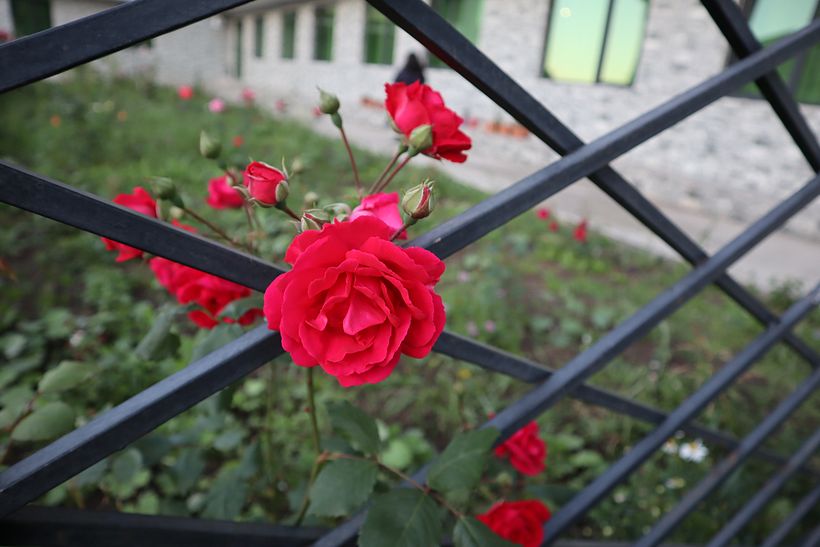 My project for course: Editorial Photography for Magazines 3