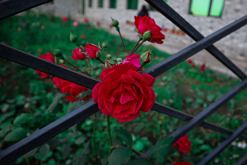 My project for course: Editorial Photography for Magazines 3