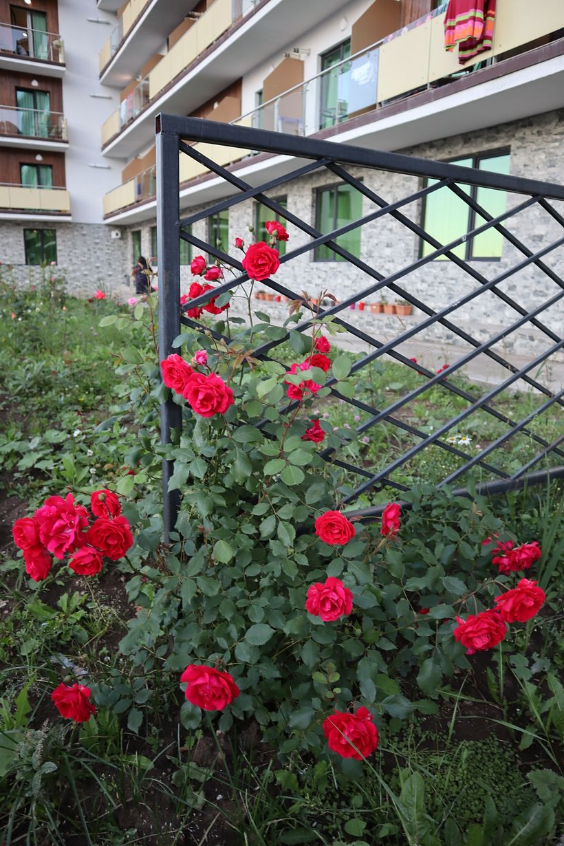 My project for course: Editorial Photography for Magazines 4