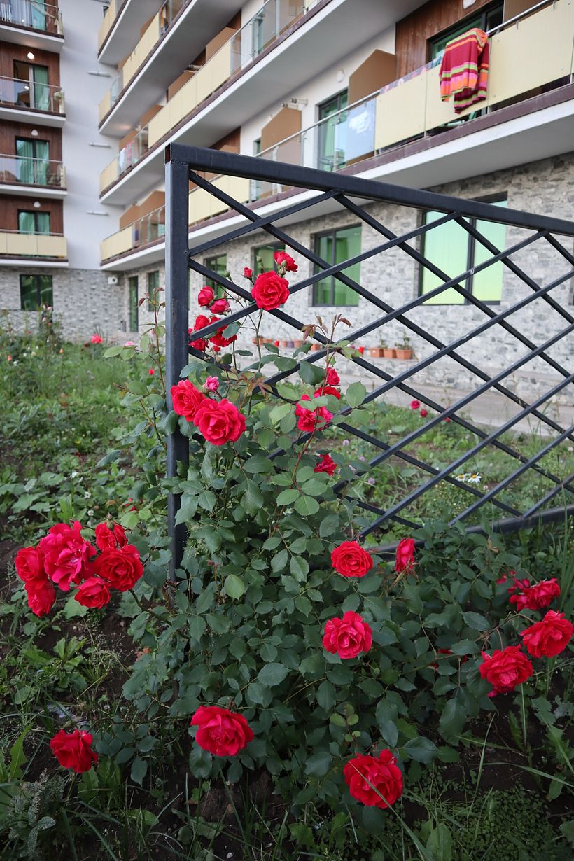 My project for course: Editorial Photography for Magazines 6