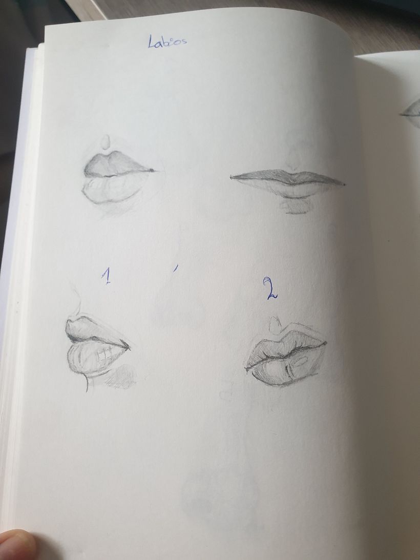 Mi proyecto del curso: Sketchbook de retrato: explora el rostro humano 1