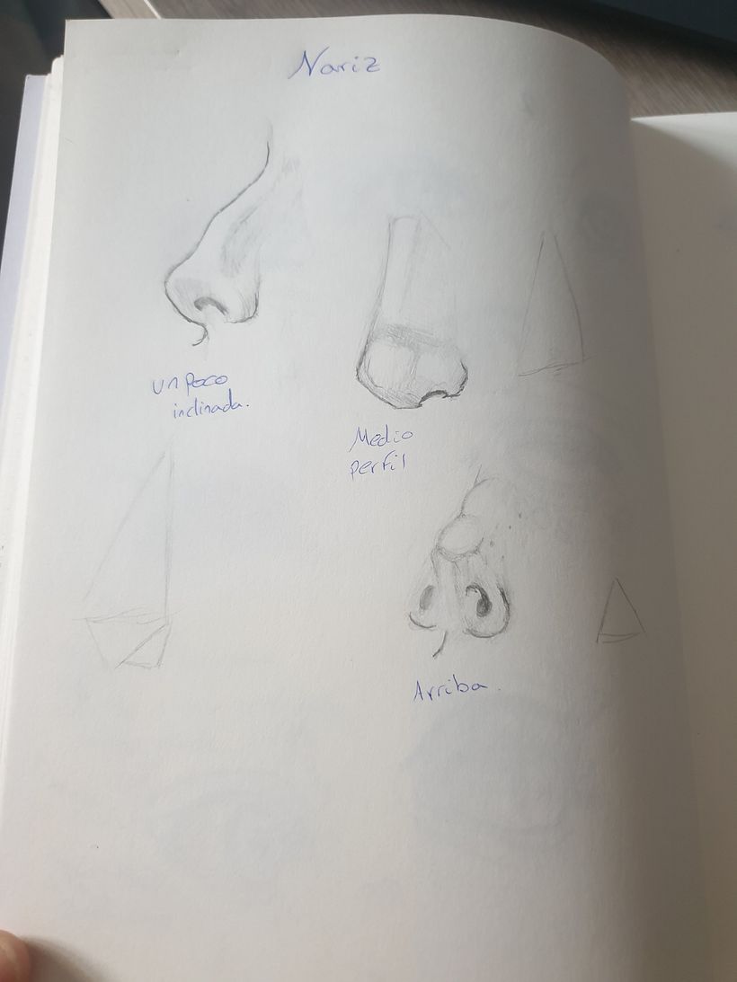 Mi proyecto del curso: Sketchbook de retrato: explora el rostro humano 4