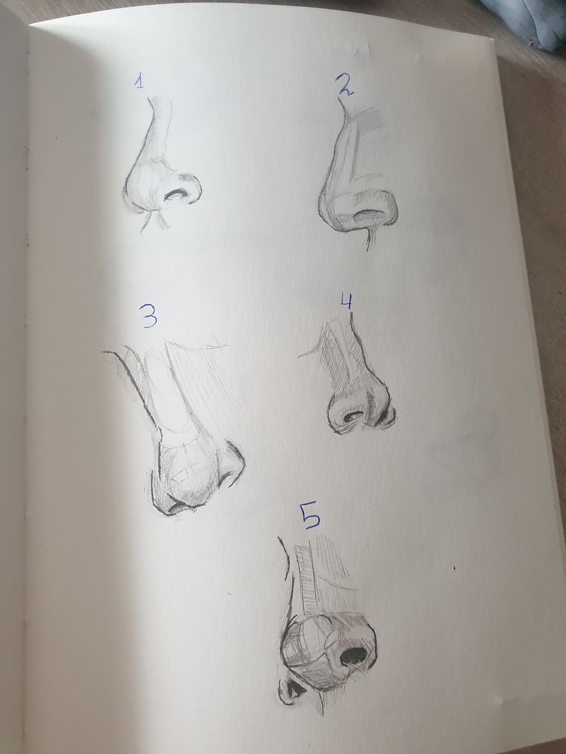 Mi proyecto del curso: Sketchbook de retrato: explora el rostro humano 5