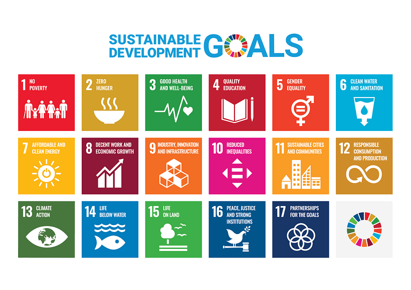 5 Tips for Designing a Visual Identity with Sustainability in Mind 6