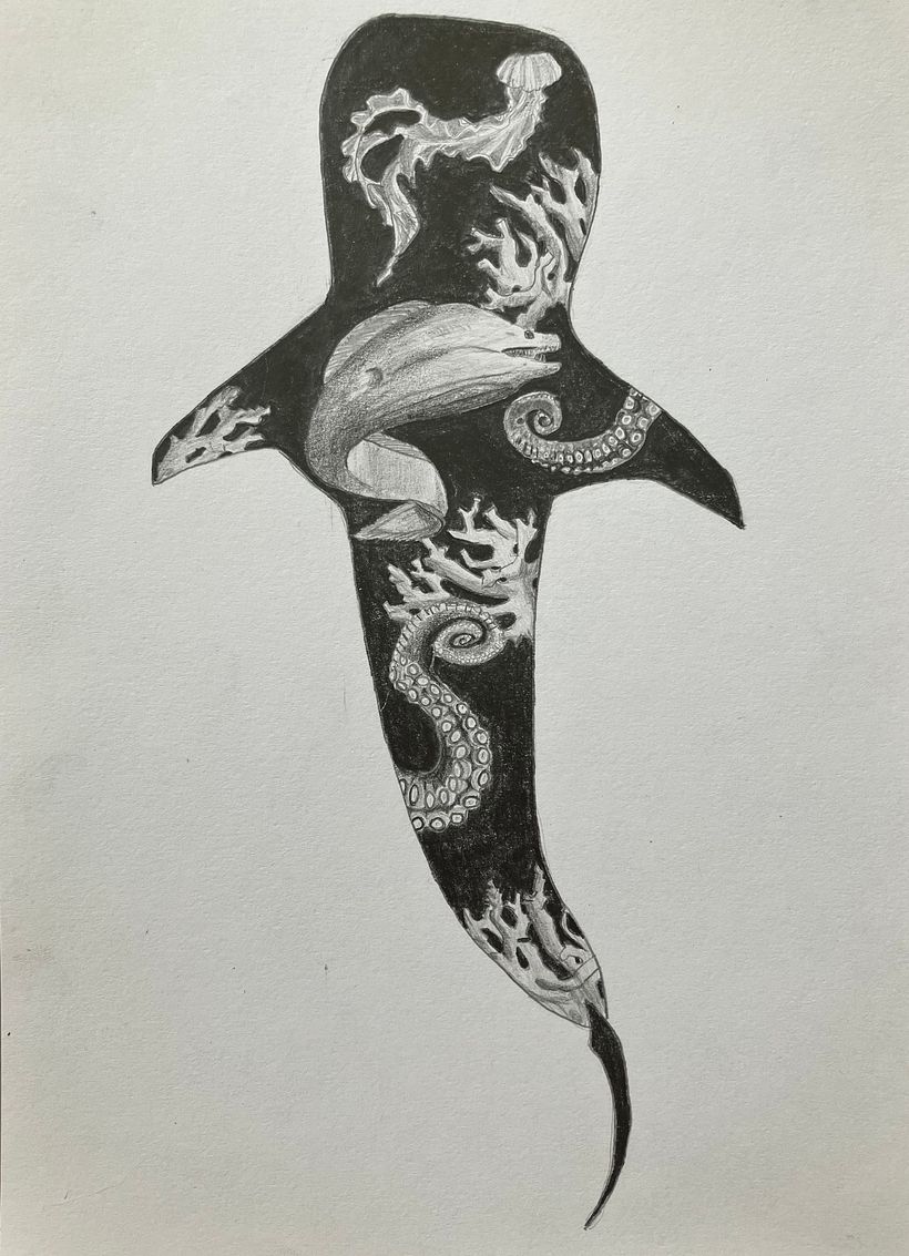 Mon projet du cours : Dessin artistique et naturaliste au crayon 1