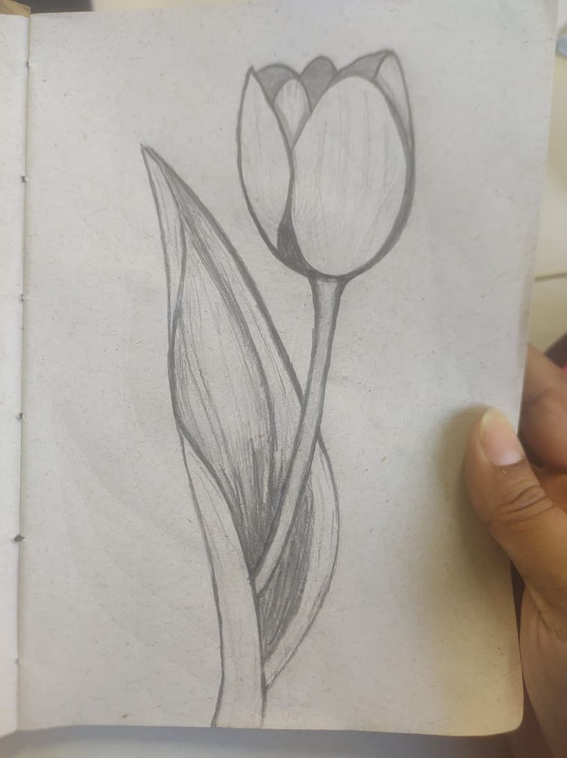 Desenho de flores a lápis 1