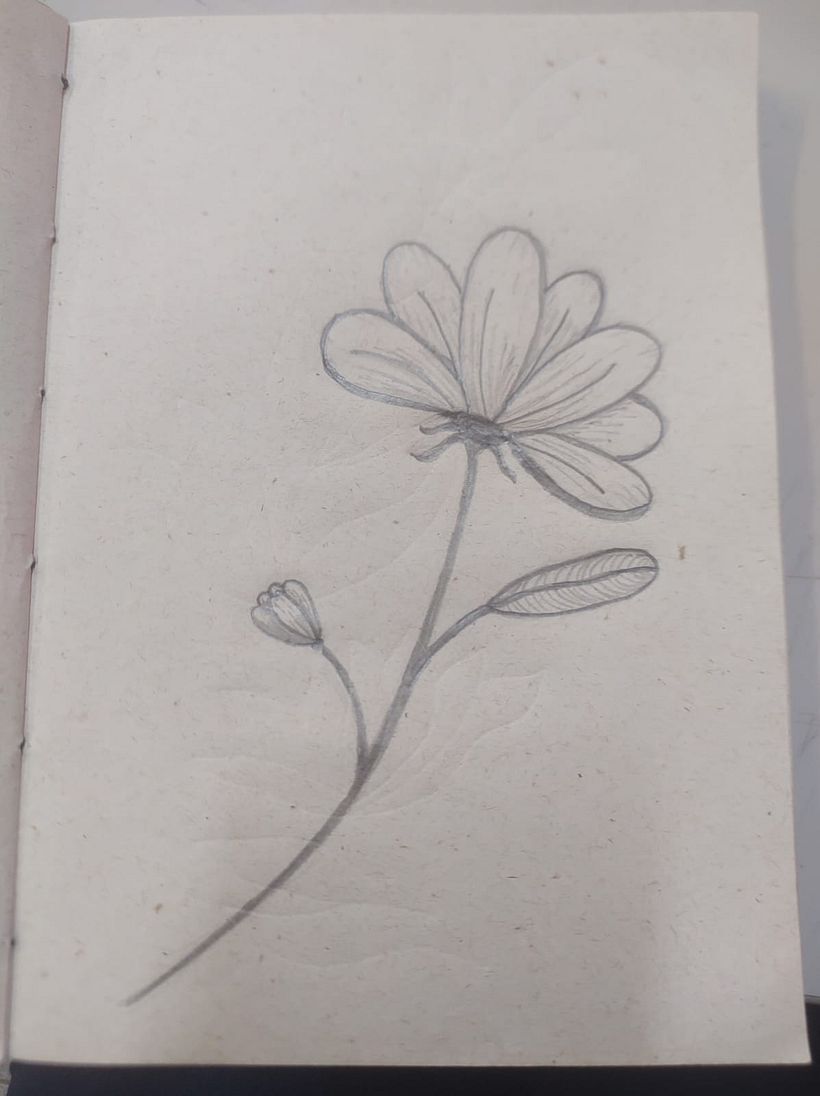 Desenho de flores a lápis 3