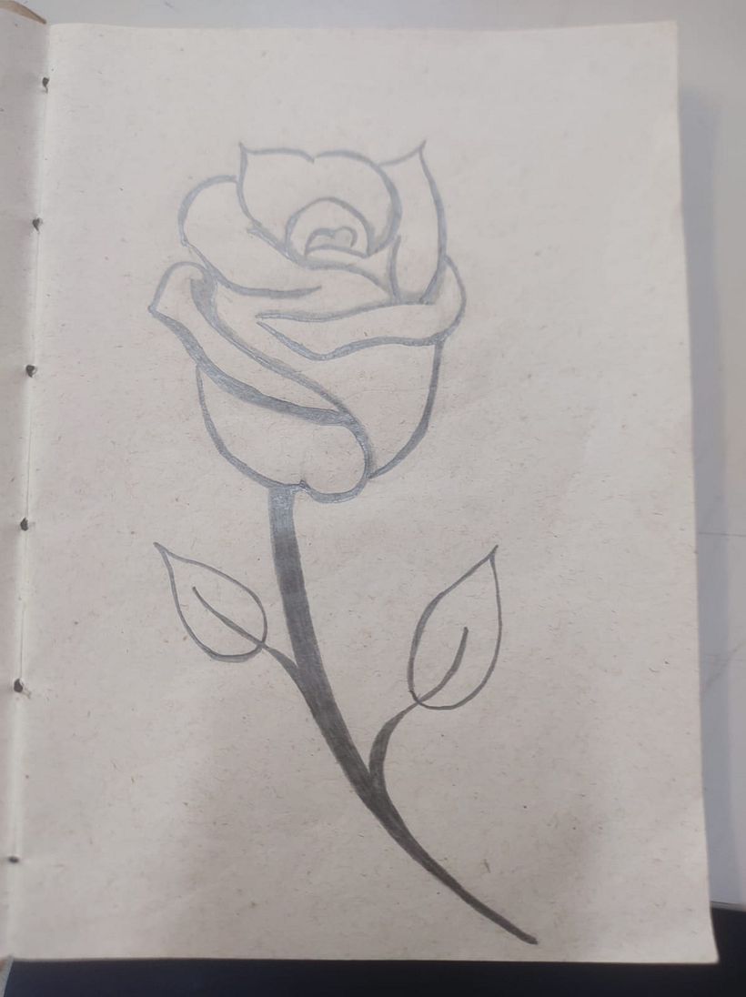 Desenho de flores a lápis 6