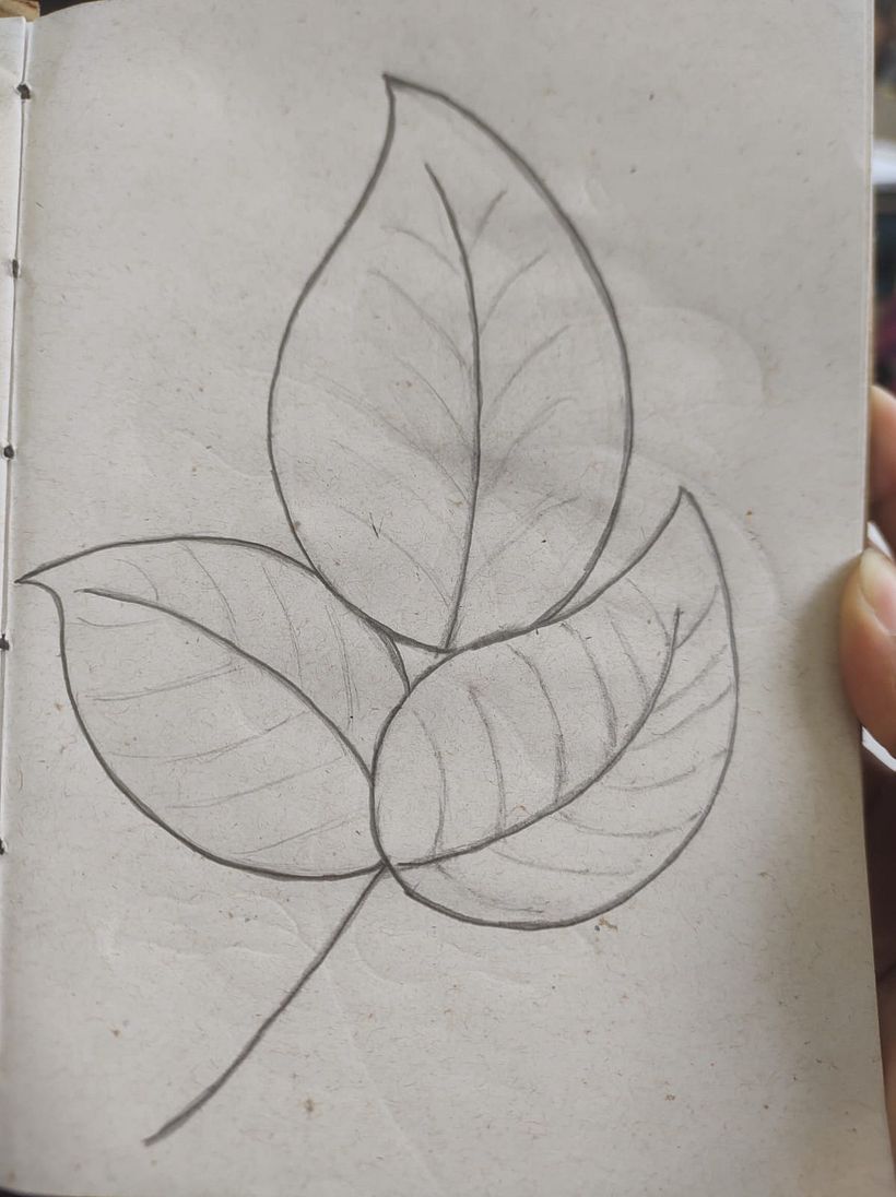 Desenho de flores a lápis 9