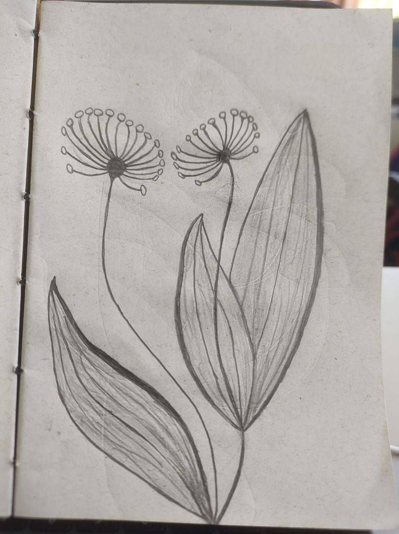 Desenho de flores a lápis 10
