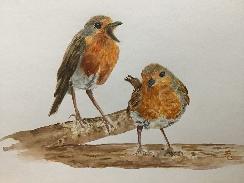 My project for course: Artistic Watercolor Techniques for Illustrating Birds 3