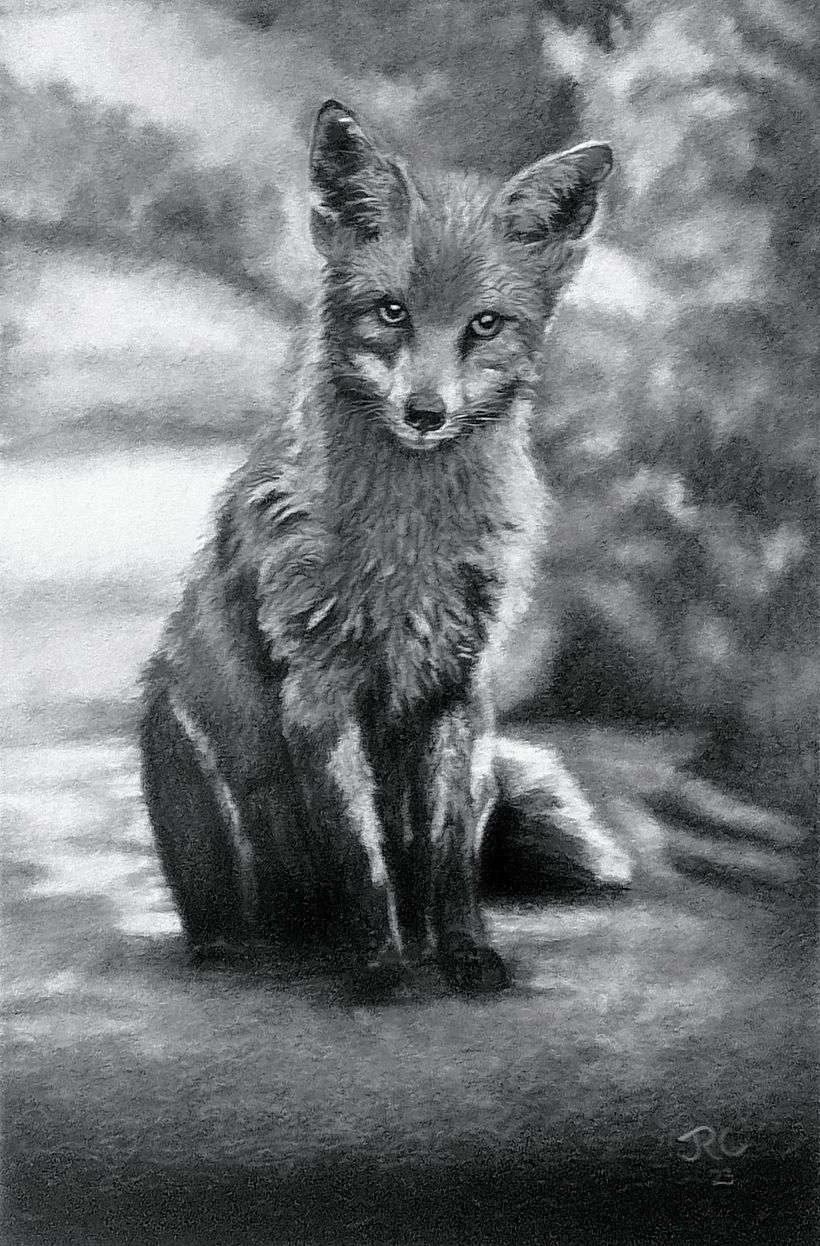 9X12 CHARCOAL PENCIL BRISTOL VELLUM