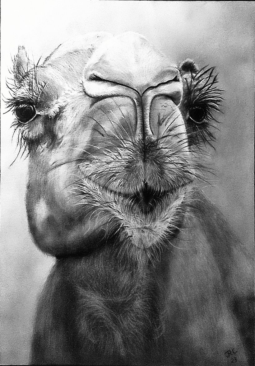 9X12 CHARCOAL PENCIL BRISTOL VELLUM