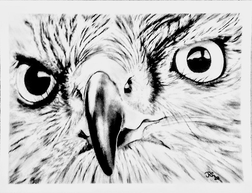 9X12 CHARCOAL PENCIL BRISTOL VELLUM