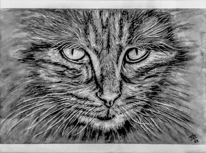 9X12 CHARCOAL PENCIL BRISTOL VELLUM