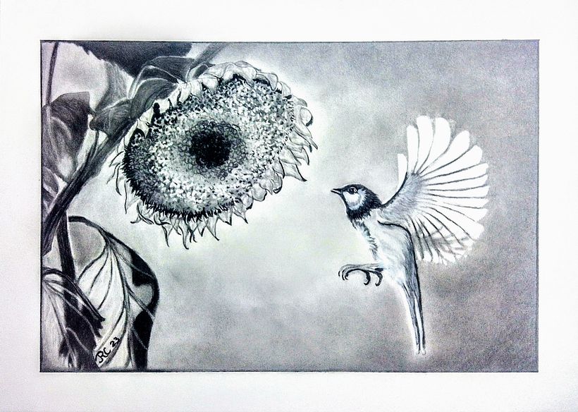 9X12 CHARCOAL PENCIL BRISTOL VELLUM