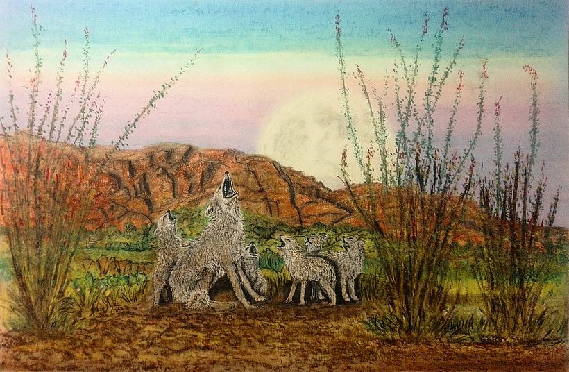 10X24 SOFT PASTEL BRISTOL SMOOTH