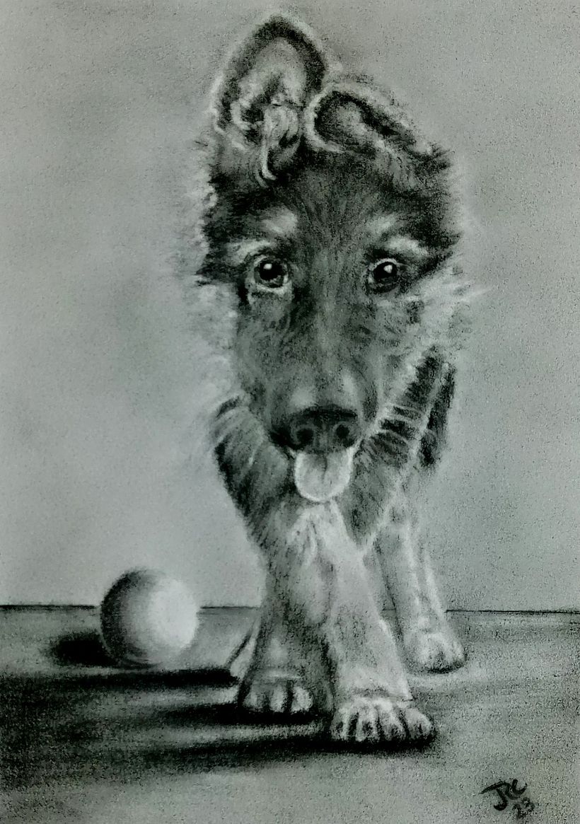 5X7 CHARCOAL PENCIL BRISTOL VELLUM