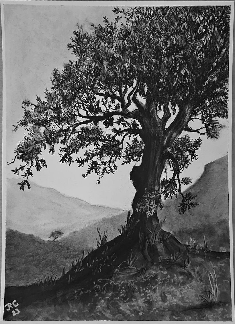 9X12 CHARCOAL PENCIL BRISTOL VELLUM