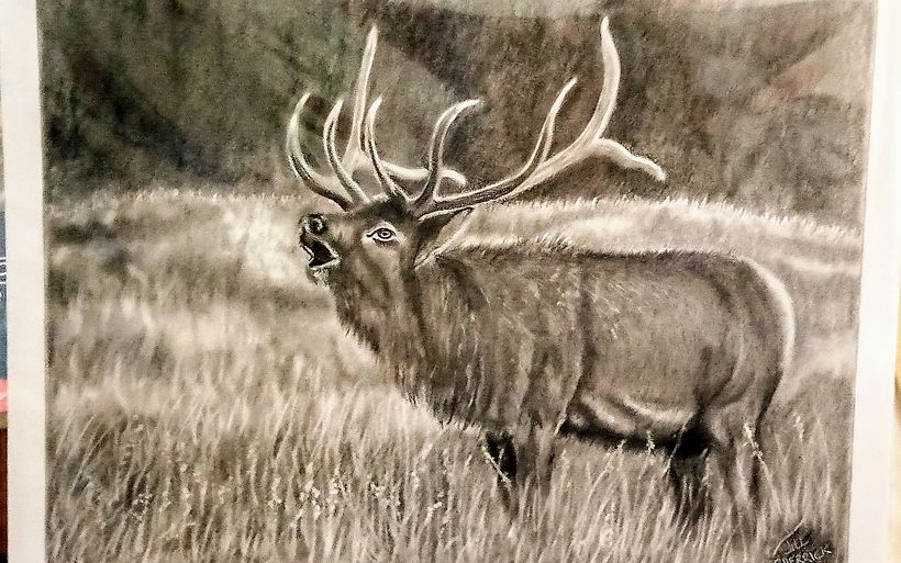  9X12 GRAPHITE PENCIL BRISTOL VELLUM