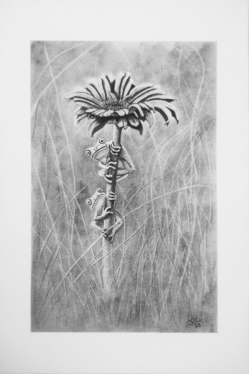9X12 CHARCOAL BRISTOL VELLUM