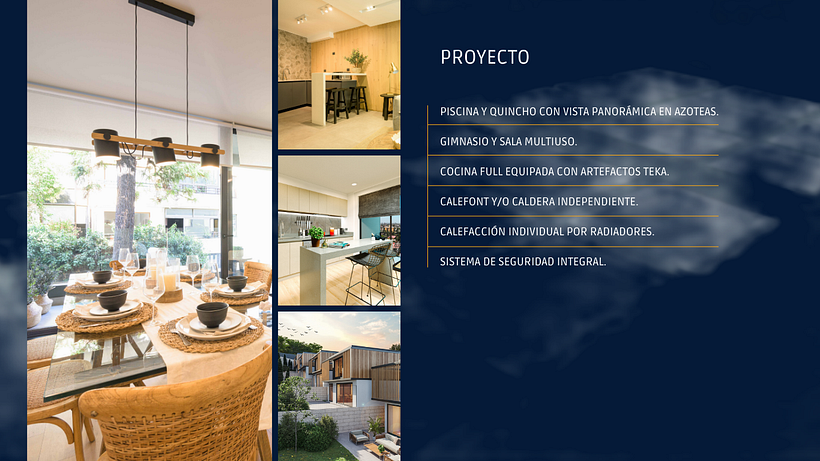 INMOBILIARIA ILUMINA 12