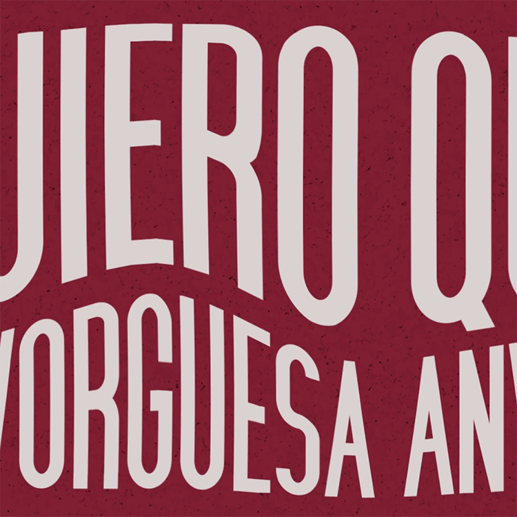 Mi proyecto del curso: Animación para diseño de logos tipográficos - Anvorguesa 1