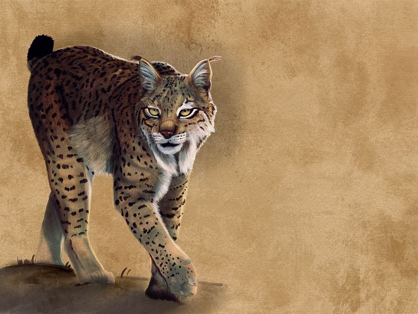 Ilustración realista / Realistic illustration